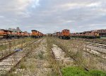 OOS locomotives